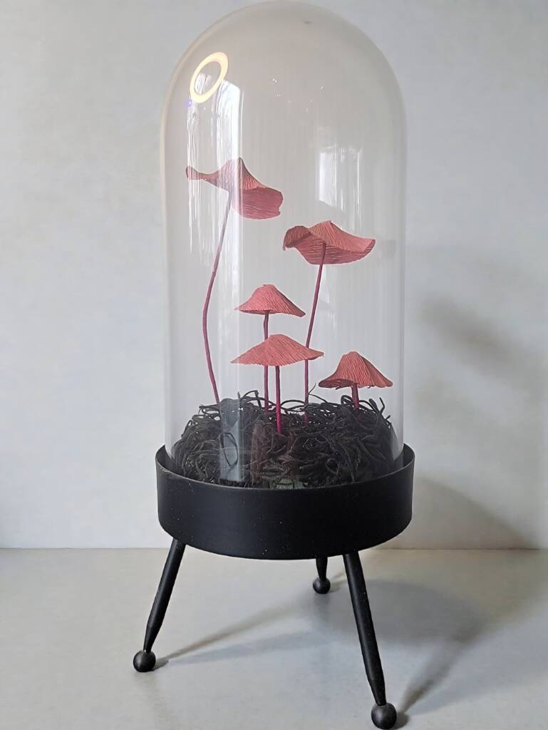A small glass dome holding bleeding mycena mushrooms.