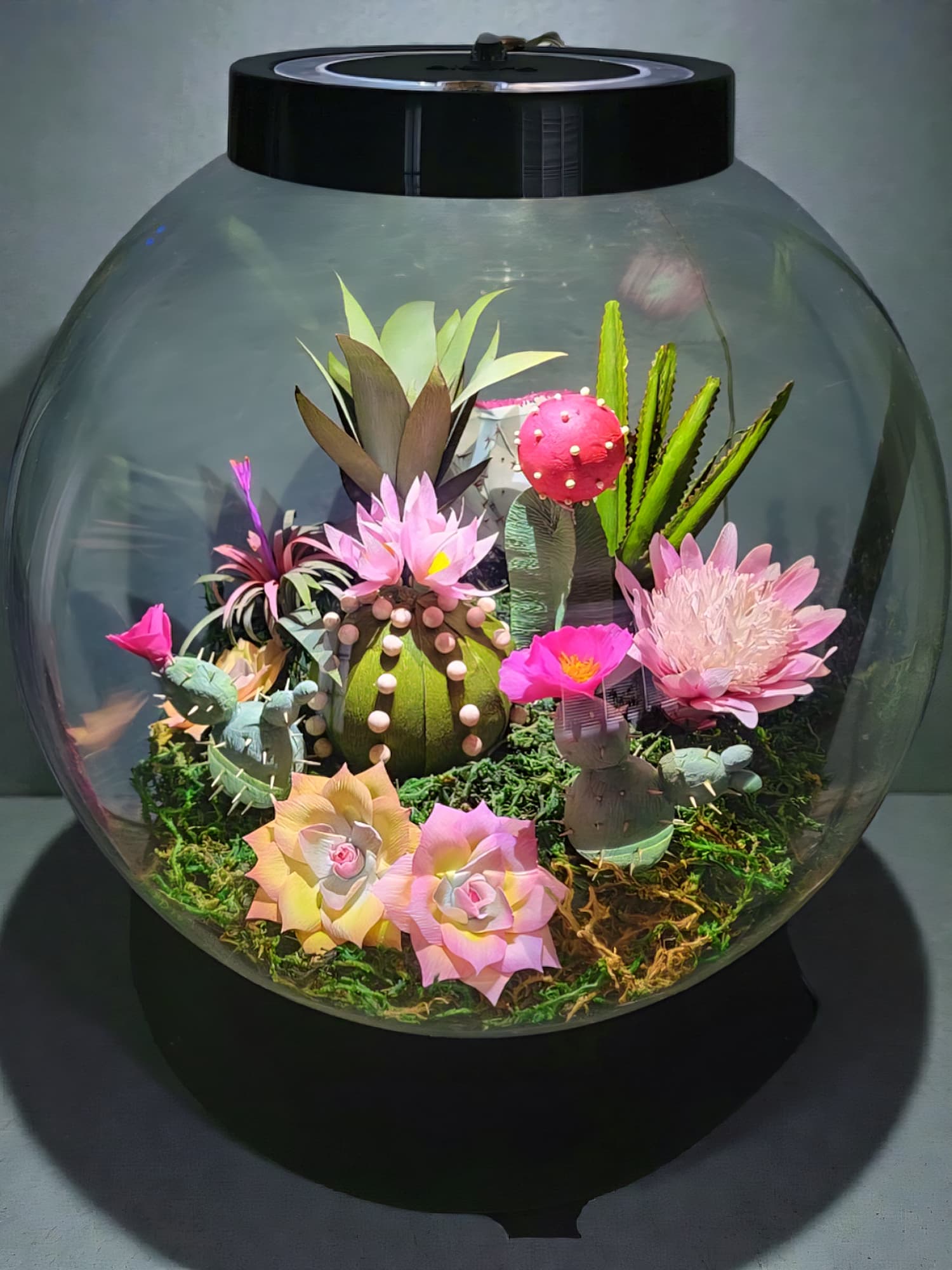 Paper terrarium